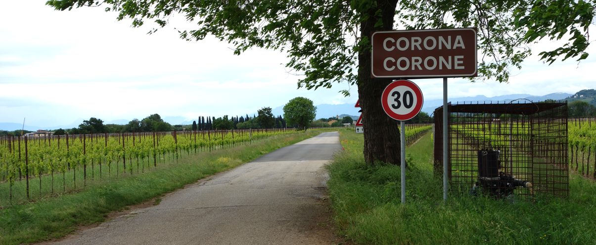 Corona