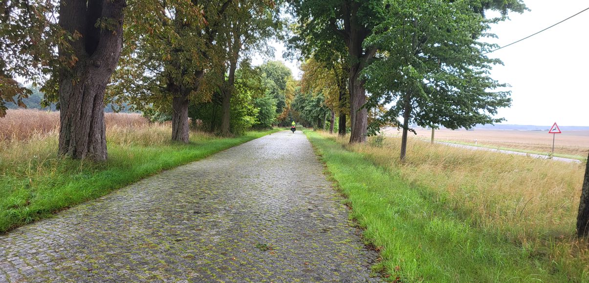 Allee mit Kopfsteinpflaster