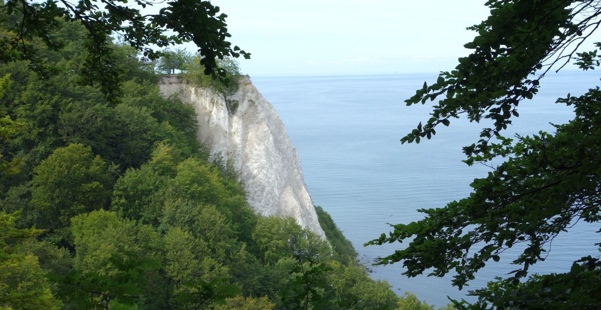 KreidefelsenKönigsstuhl