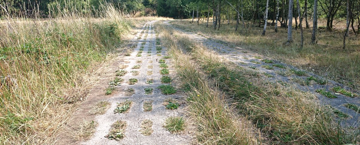 Lochplattenweg