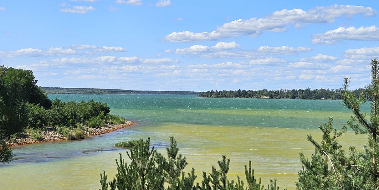 Partwitzer See