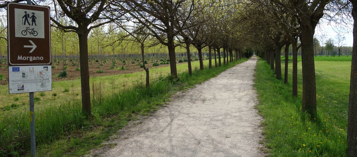 Radweg Ostiglia-Treviso