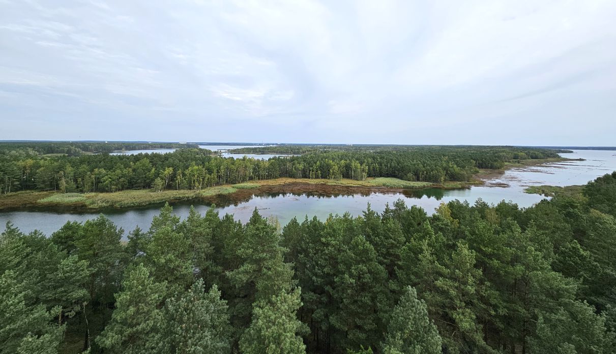 Senftenberger Südsee