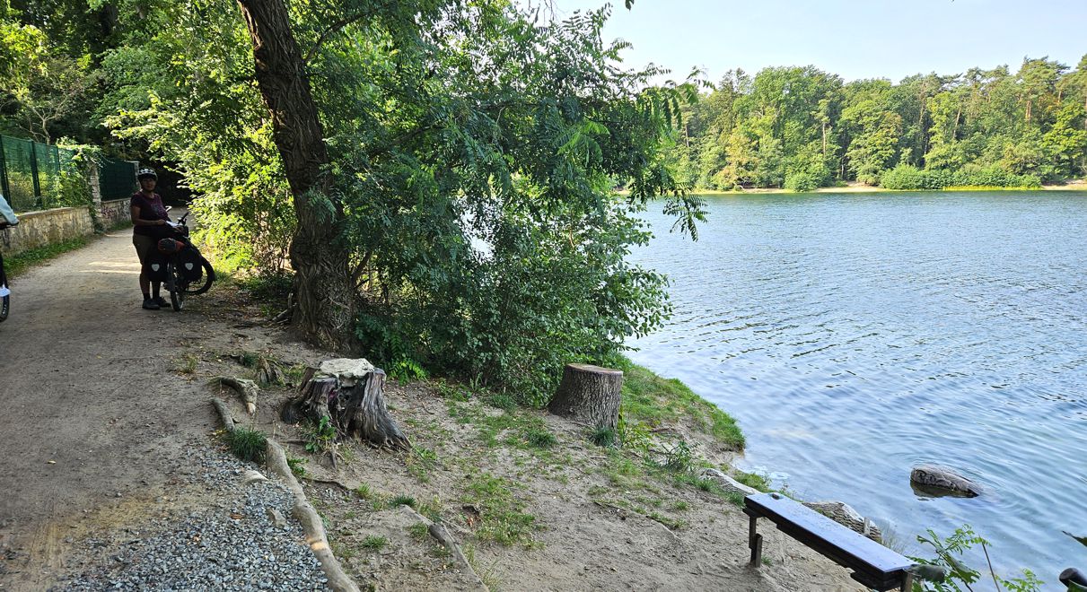 Straussee