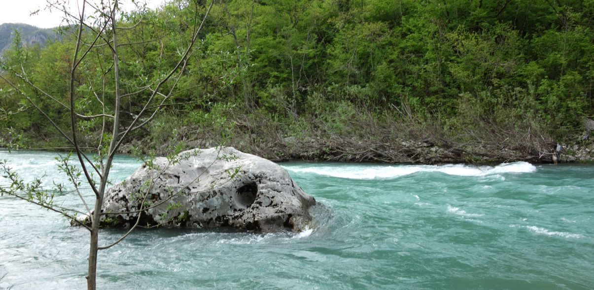 Tara Rafting