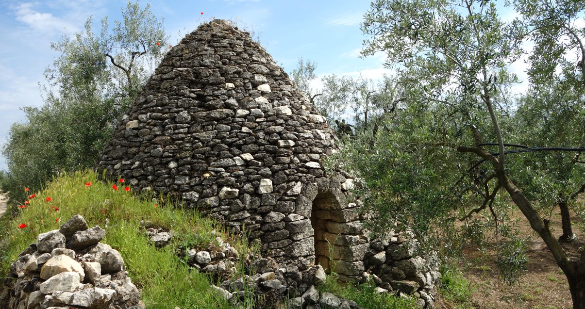 Trulli im Olivengarten