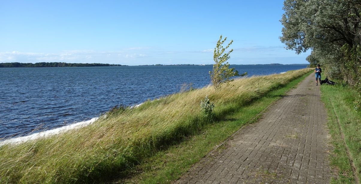WiekerBodden